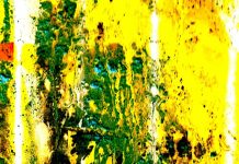 भाषा की माटी