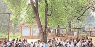 स्वराज-यात्रा की समाजवादी दिशा – चौखम्भा राज : आनन्द कुमार