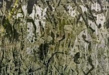 लाल्टू की तीन कविताएँ