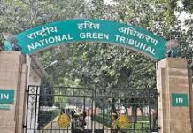 सुंदरबन में पर्यावरण संरक्षण को ताक पर रखकर बन रहे रिसॉर्ट, एनजीटी नाराज