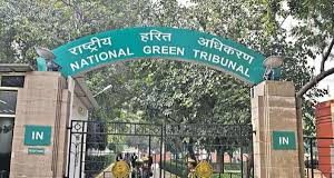 सुंदरबन में पर्यावरण संरक्षण को ताक पर रखकर बन रहे रिसॉर्ट, एनजीटी नाराज