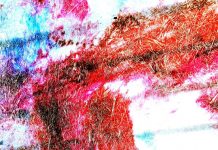 गोरख पाण्डेय की कविता