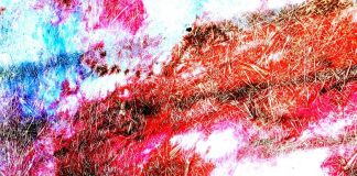 गोरख पाण्डेय की कविता