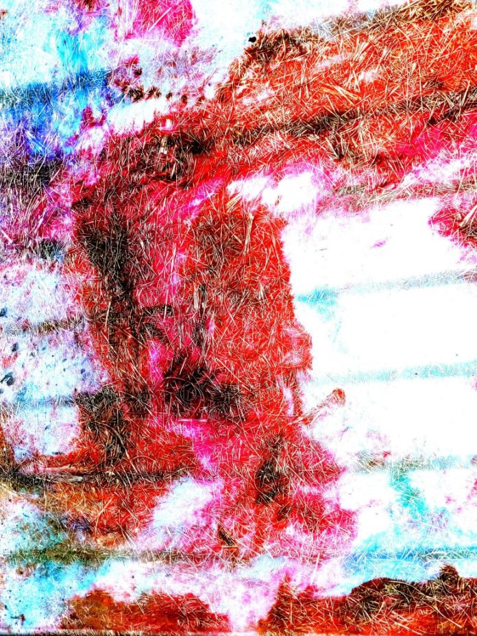 E913BFF1-FE6A-4E62-9197-48C58313AD2D