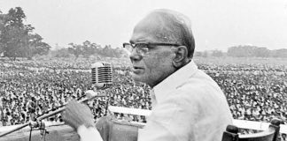 भाषा-सजग राजनेता