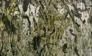 शिव कुमार पराग, केशव शरण, कुमार अरुण की कविताएँ