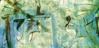 प्रगति सक्सेना की चार कविताएँ