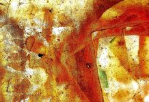 निर्मला गर्ग की चार कविताएं