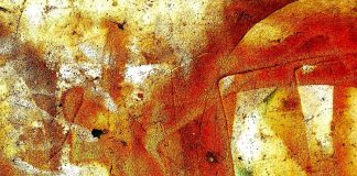 निर्मला गर्ग की चार कविताएं