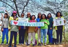 अरावली के विनाश की योजना है नया एनसीआर प्लान?