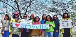 अरावली के विनाश की योजना है नया एनसीआर प्लान?