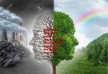 प्रकृति के साथ नहीं रह रहे हम – सुनीता नारायण