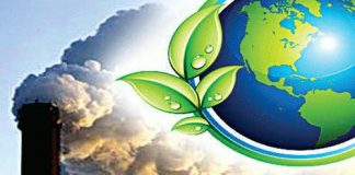 परियोजनाओं की पर्यावरणीय जांच अभी विश्वसनीय नहीं है, हमें क्या करना होगा