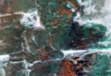 रामप्रकाश कुशवाहा की चार कविताएं