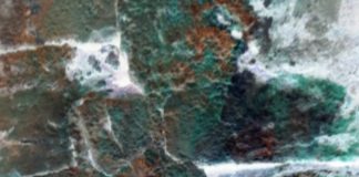 रामप्रकाश कुशवाहा की चार कविताएं