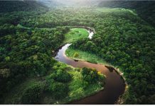 अमेजन के जंगलों का नष्ट होना, दुनिया के लिए बहुत बड़े खतरे का संकेत