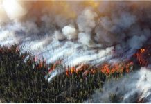 जमीन को नुकसान पहुँचाने के साथ ही तापमान को 60 फीसदी तक बढ़ा देती है जंगल की आग