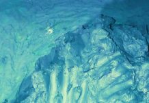 कुमार अंबुज की दो कविताएं