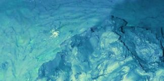 कुमार अंबुज की दो कविताएं