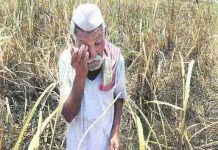 कृषि कानूनों पर कमेटी की रिपोर्ट एक साजिश – योगेन्द्र यादव