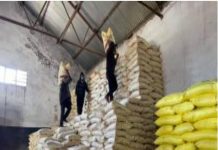 खाद संकट ने किसानों की बढ़ायी चिंता