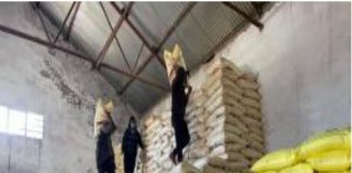 खाद संकट ने किसानों की बढ़ायी चिंता