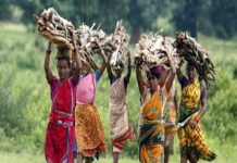 सामुदायिक वनाधिकार : संसद में संवेदना का पाठ मगर आदिवासियों में बेदखली का डर