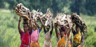 सामुदायिक वनाधिकार : संसद में संवेदना का पाठ मगर आदिवासियों में बेदखली का डर