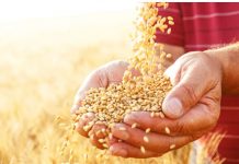 चुनाव खत्म होते ही अब 31 मार्च से मुफ्त राशन योजना भी खत्म करने की योजना