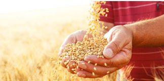 चुनाव खत्म होते ही अब 31 मार्च से मुफ्त राशन योजना भी खत्म करने की योजना