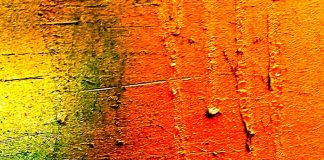 सुमन मौर्य की तीन कविताएँ