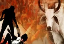 मवेशी चोरी के शक में मुस्लिम व्यक्ति की पीट-पीटकर हत्या, न्यू इंडिया में लिंचिंग हुआ न्यू नॉर्मल?