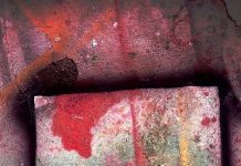 युद्ध के विरुद्ध पॉंच कविताऍं