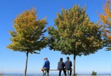 जलवायु इतिहास का एक और रिकॉर्ड, 2022 में सबसे गर्म रही फरवरी