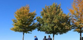 जलवायु इतिहास का एक और रिकॉर्ड, 2022 में सबसे गर्म रही फरवरी