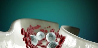 पहली बार इंसान के खून में माइक्रोप्लास्टिक का मिलना चिंता का विषय