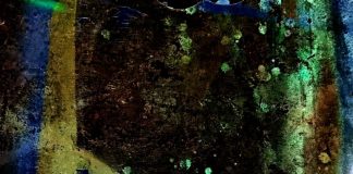 शैलेन्द्र चौहान की चार कविताऍं