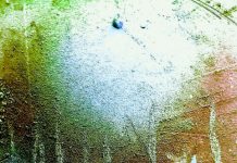 गोलेन्द्र पटेल की दो कविताएं