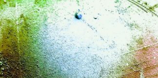 गोलेन्द्र पटेल की दो कविताएं