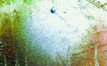 गोलेन्द्र पटेल की दो कविताएं