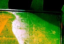 डॉ एम.डी. सिंह और अनिल सिन्हा की कविताएं