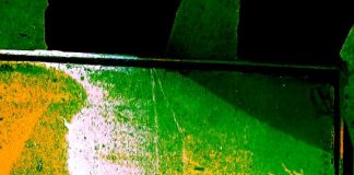 डॉ एम.डी. सिंह और अनिल सिन्हा की कविताएं