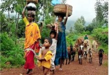 लाखों आदिवासियों और वन निवासियों को बेदखली और आजीविका खोने का खतरा