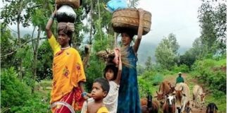 लाखों आदिवासियों और वन निवासियों को बेदखली और आजीविका खोने का खतरा
