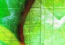 प्रियंकर पालीवाल की पांच कविताएं