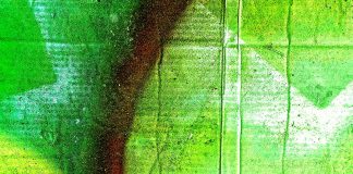 प्रियंकर पालीवाल की पांच कविताएं