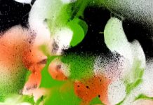 शाहाबाद की संस्कृति