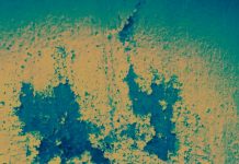 प्रकाश मनु की दो कविताऍं