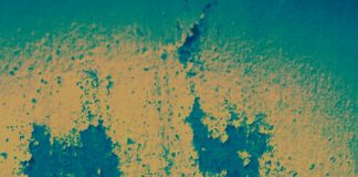 प्रकाश मनु की दो कविताऍं