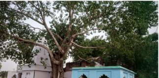 बनारस में सांप्रदायिक सद्भाव की मिसाल पेश करते मजहबी मरकज